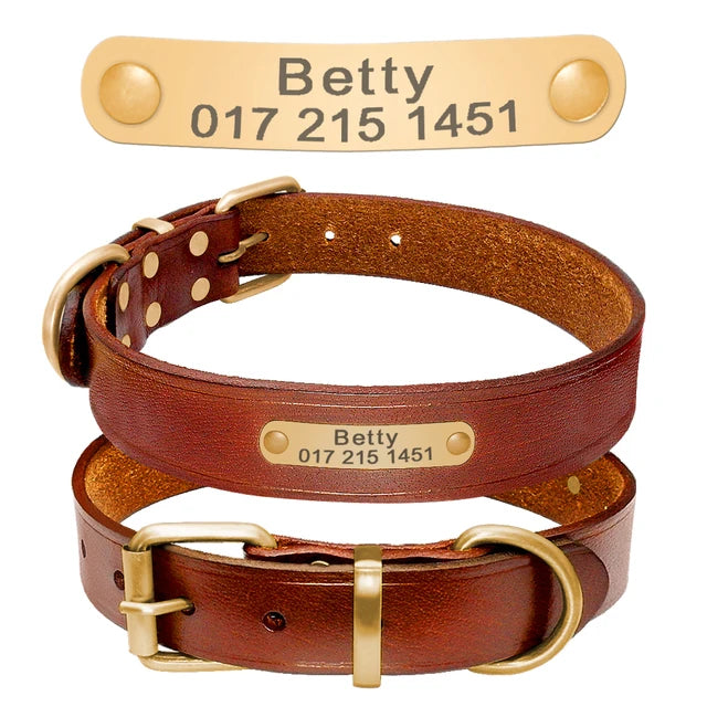 https://ae01.alicdn.com/kf/HTB1grmxChSYBuNjSsphq6zGvVXas/Personalized-Dog-Collars-Leather-Customized-ID-Name-Collars-for-Dog-Adjustable-Engrave-for-Small-Medium-Large.jpg_640x640.jpg