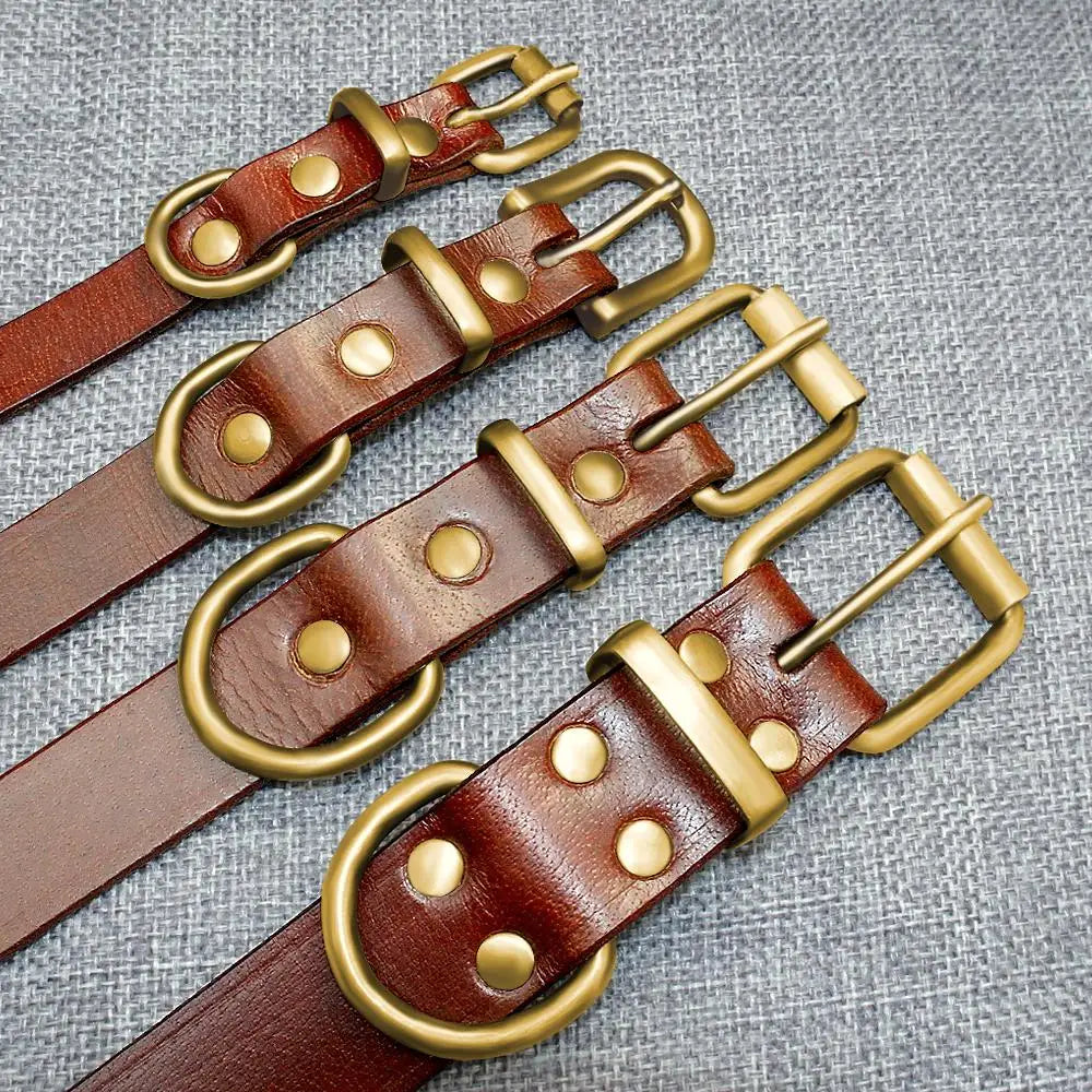 https://ae01.alicdn.com/kf/HTB1PbWqkbZnBKNjSZFKq6AGOVXaM/Personalized-Dog-Collars-Leather-Customized-ID-Name-Collars-for-Dog-Adjustable-Engrave-for-Small-Medium-Large.jpg