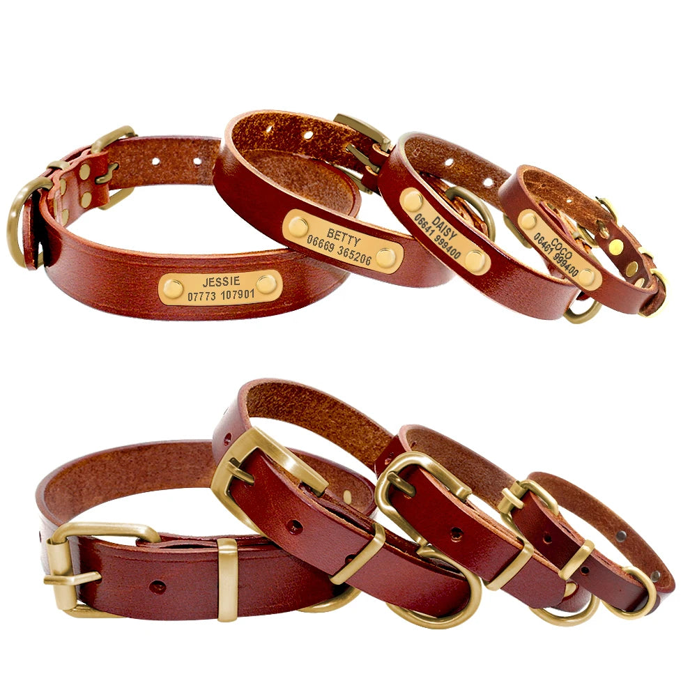 https://ae01.alicdn.com/kf/HTB18XnrCeuSBuNjy1Xcq6AYjFXaN/Personalized-Dog-Collars-Leather-Customized-ID-Name-Collars-for-Dog-Adjustable-Engrave-for-Small-Medium-Large.jpg