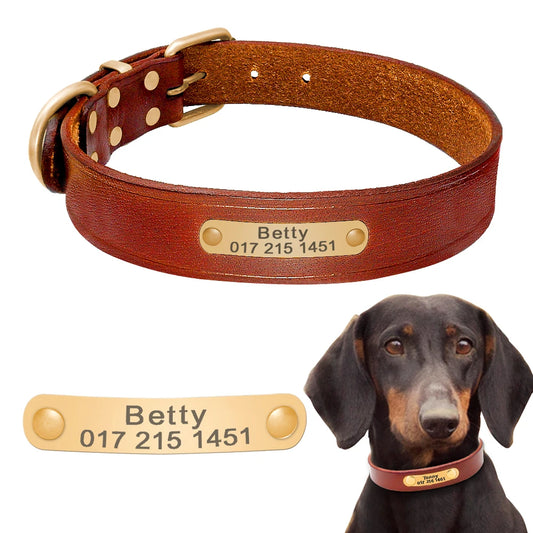 https://ae01.alicdn.com/kf/HTB1b3nRCh9YBuNjy0Ffq6xIsVXab/Personalized-Dog-Collars-Leather-Customized-ID-Name-Collars-for-Dog-Adjustable-Engrave-for-Small-Medium-Large.jpg